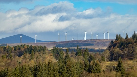 Wind Turbines Forest